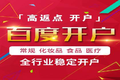 百度SEO推广案例解析与效果评估